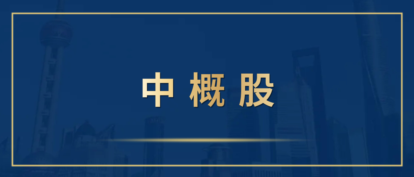 中概股.jpg